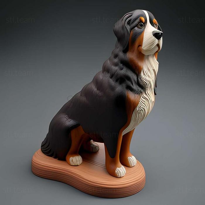 3D модель Собака аппенцеллер зенненхунд (STL)